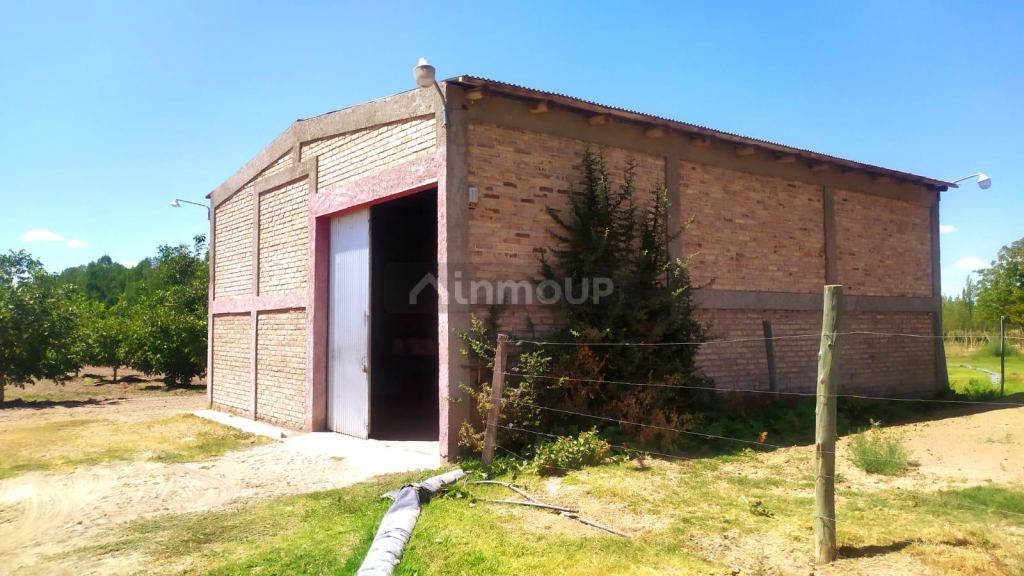Finca en Venta en Tunuyan, Mendoza