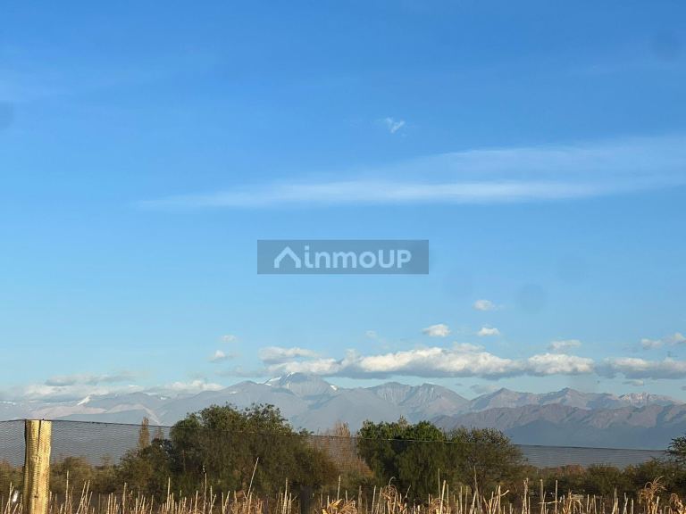 Finca en Venta en Maipu, Mendoza