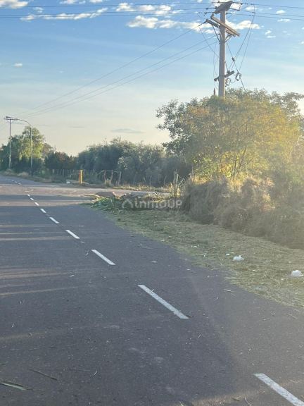 Finca en Venta en Maipu, Mendoza