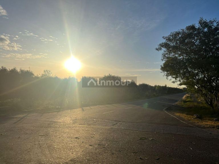 Finca en Venta en Maipu, Mendoza