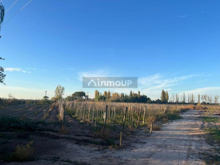 Finca en Venta en Maipu, Mendoza