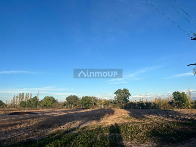 Finca en Venta en Maipu, Mendoza