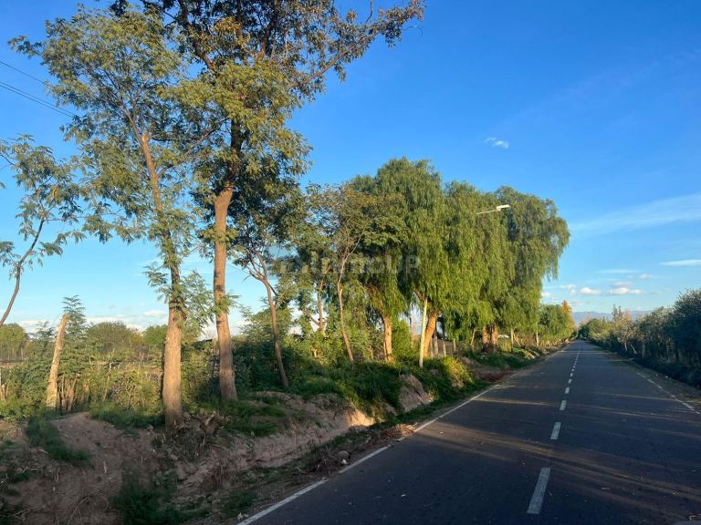 Finca en Venta en Maipu, Mendoza