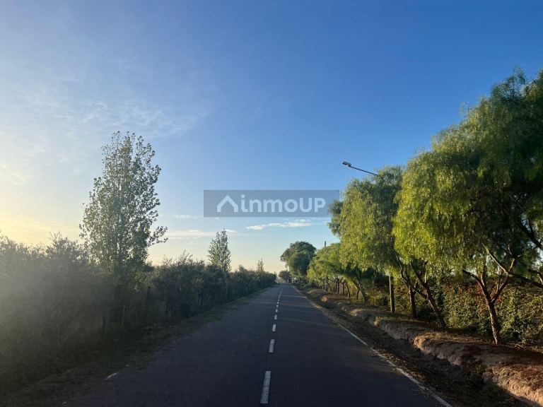 Finca en Venta en Maipu, Mendoza