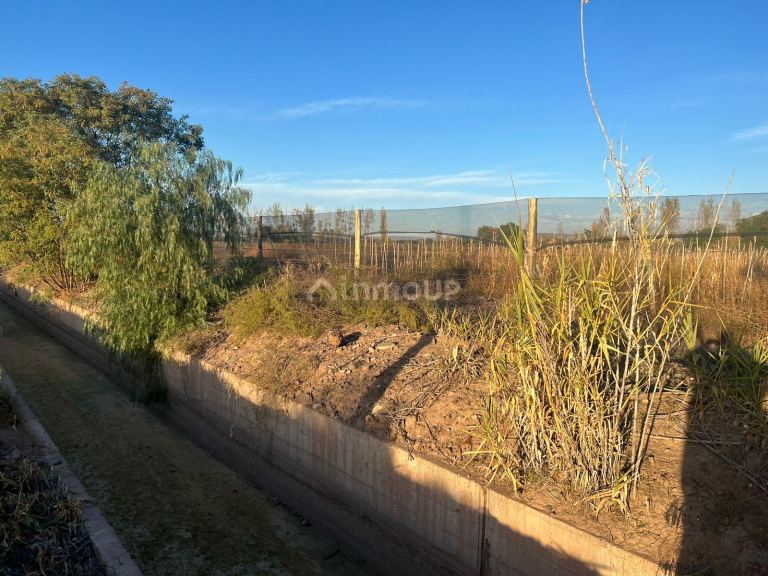 Finca en Venta en Maipu, Mendoza