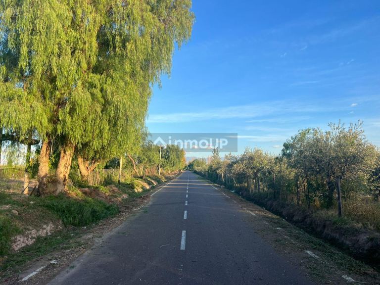 Finca en Venta en Maipu, Mendoza