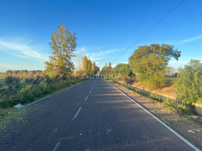 Finca en Venta en Maipu, Mendoza