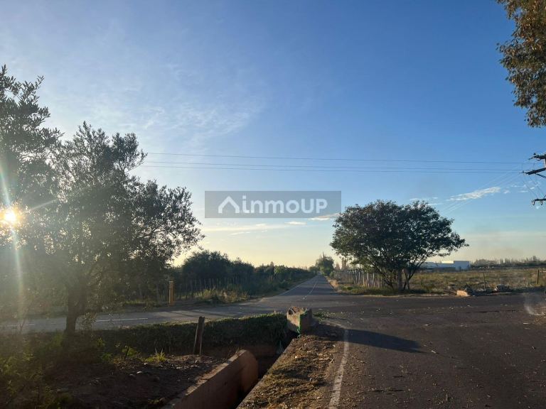 Finca en Venta en Maipu, Mendoza