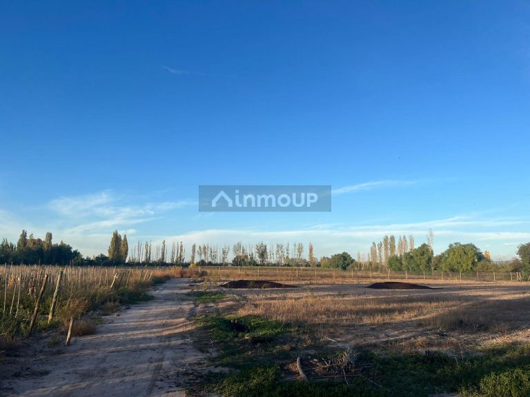 Finca en Venta en Maipu, Mendoza
