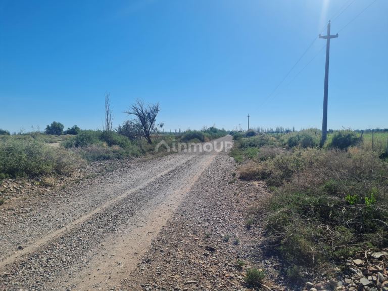 Finca en Venta en San Martin, Mendoza