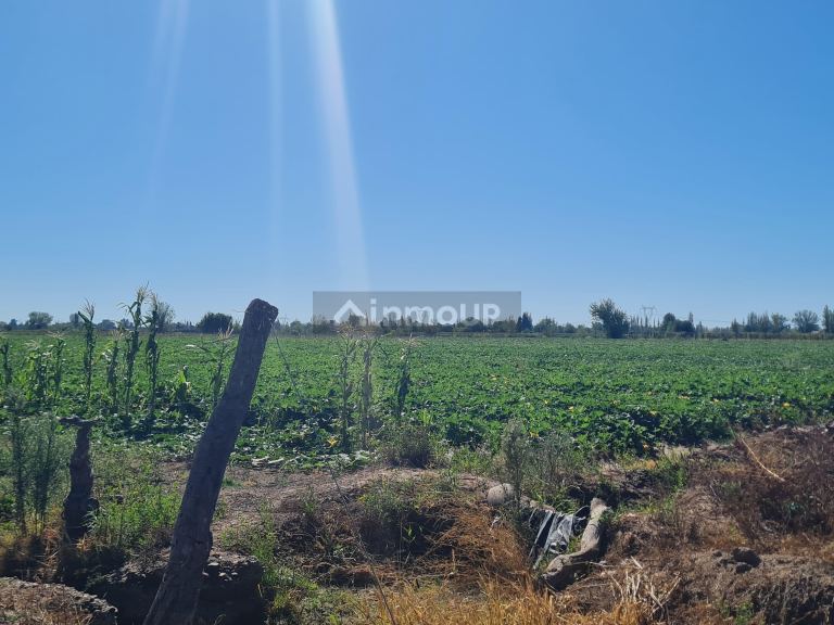 Finca en Venta en San Martin, Mendoza