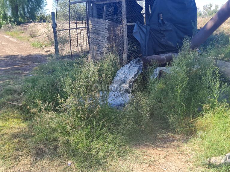 Finca en Venta en San Martin, Mendoza