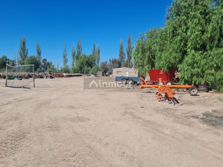 Finca en Venta en San Martin, Mendoza