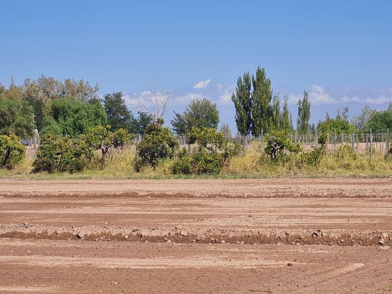 Finca en Venta en San Martin, Mendoza