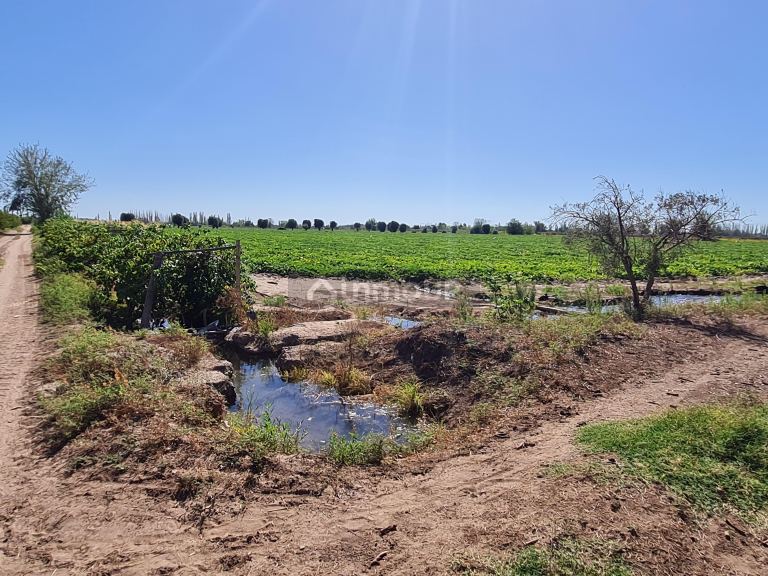 Finca en Venta en San Martin, Mendoza