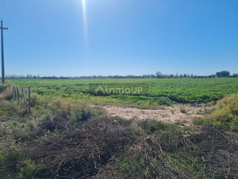 Finca en Venta en San Martin, Mendoza