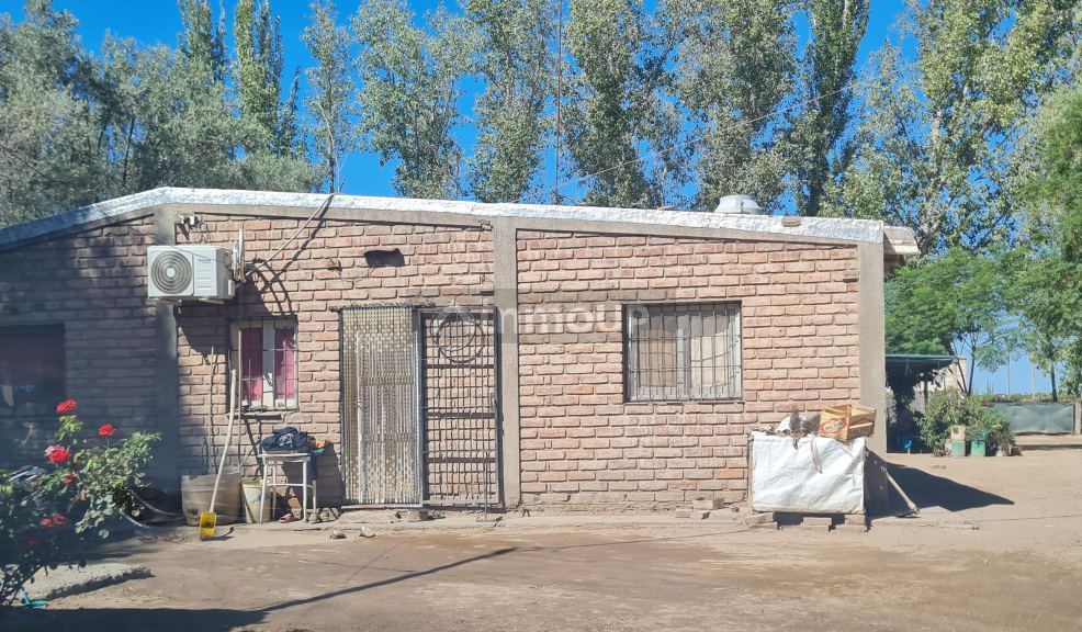 Finca en Venta en San Martin, Mendoza