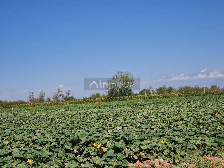 Finca en Venta en San Martin, Mendoza