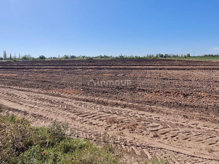 Finca en Venta en San Martin, Mendoza