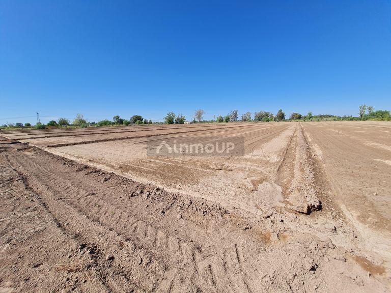 Finca en Venta en San Martin, Mendoza