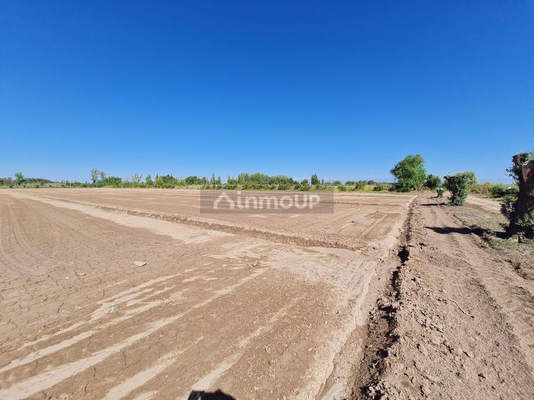 Finca en Venta en San Martin, Mendoza