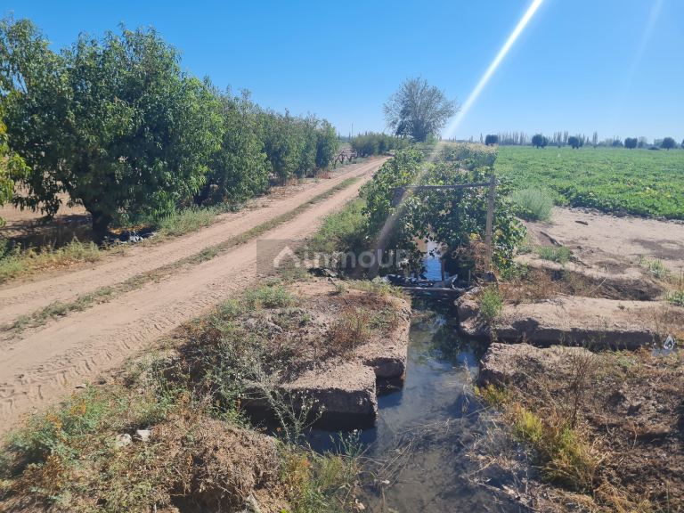 Finca en Venta en San Martin, Mendoza