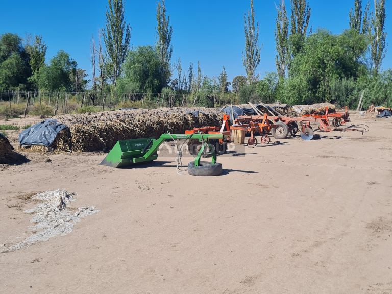 Finca en Venta en San Martin, Mendoza
