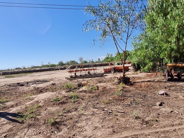 Finca en Venta en San Martin, Mendoza