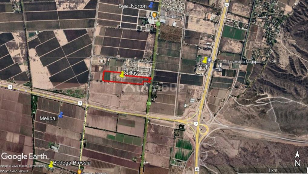 Finca en Venta en Lujan de Cuyo, Mendoza