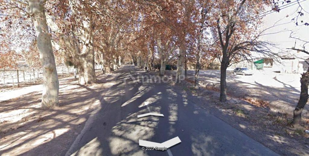 Finca en Venta en Lujan de Cuyo, Mendoza