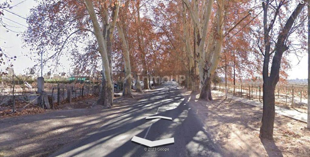 Finca en Venta en Lujan de Cuyo, Mendoza