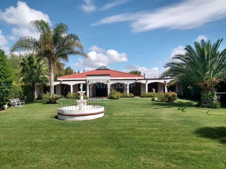 Quinta en Venta en San Martin, Mendoza