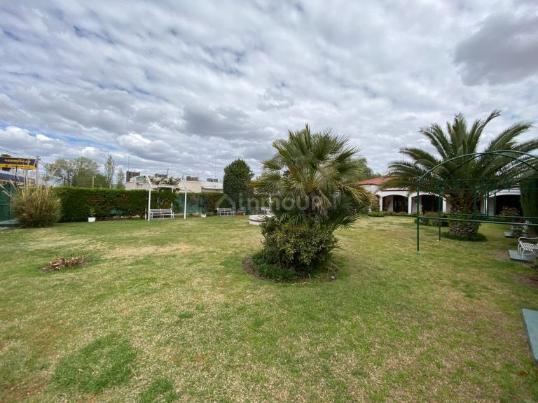 Quinta en Venta en San Martin, Mendoza