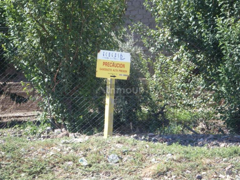Finca en Venta en Maipu, Mendoza
