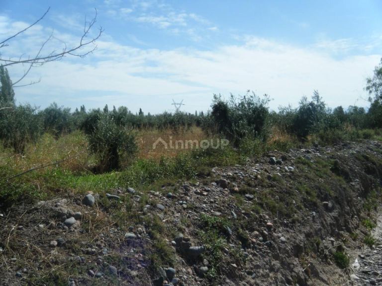 Finca en Venta en Maipu, Mendoza