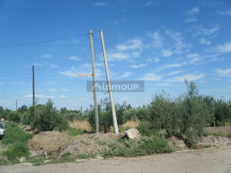 Finca en Venta en Maipu, Mendoza