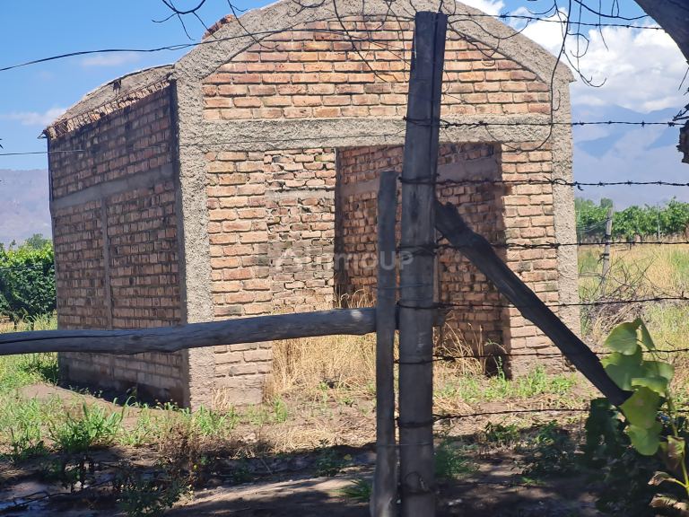 Finca en Venta en San Carlos, Mendoza