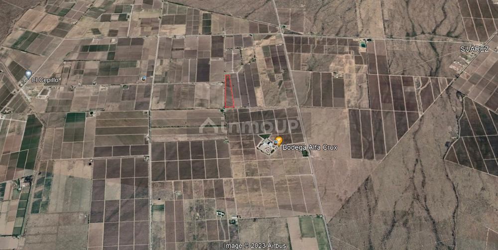 Finca en Venta en San Carlos, Mendoza