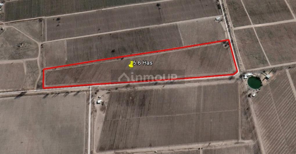 Finca en Venta en San Carlos, Mendoza