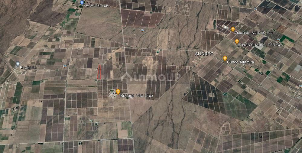 Finca en Venta en San Carlos, Mendoza