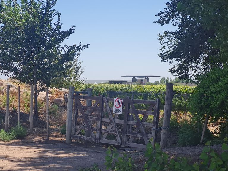 Finca en Venta en San Carlos, Mendoza
