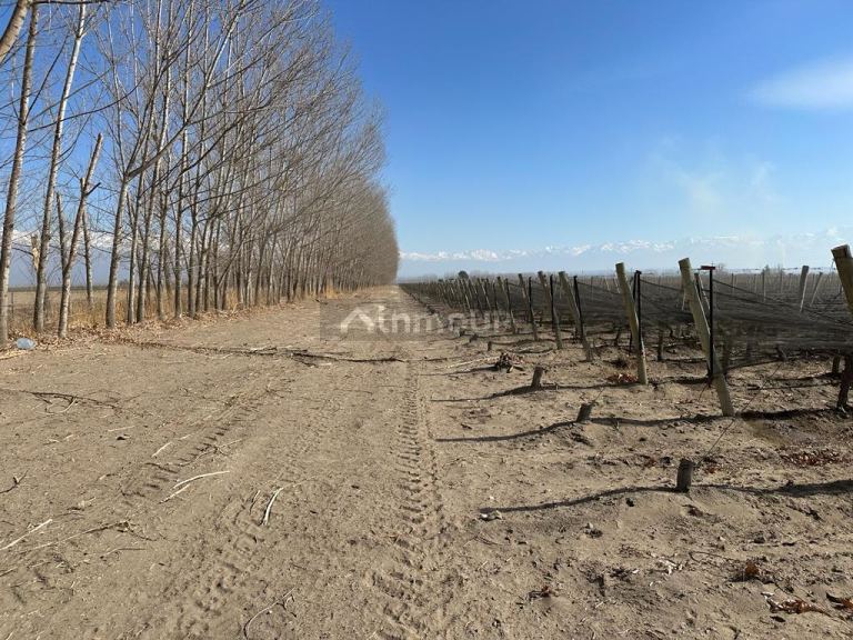 Finca en Venta en Tupungato, Mendoza