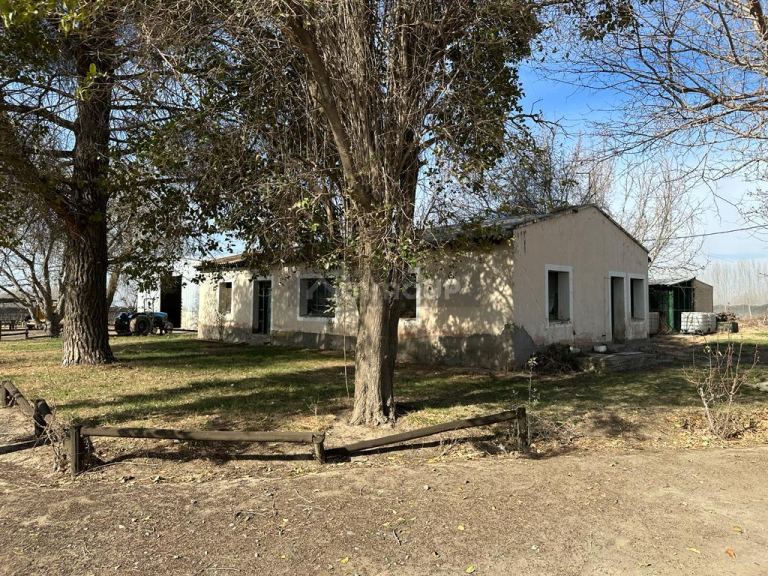 Finca en Venta en Tupungato, Mendoza