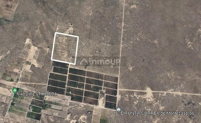 Finca en Venta en San Martin, Mendoza
