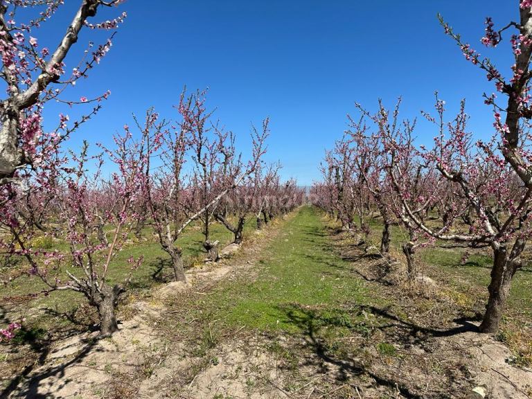 Finca en Venta en Tunuyan, Mendoza