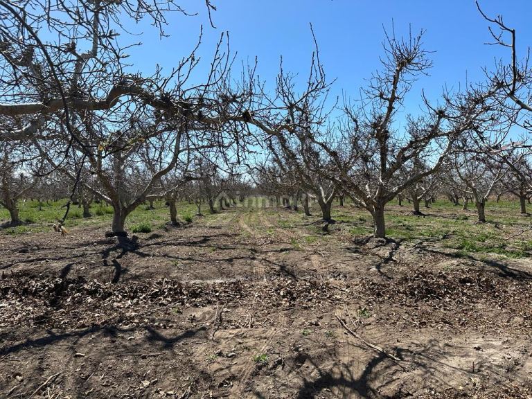 Finca en Venta en Tunuyan, Mendoza