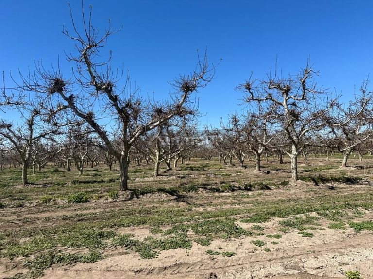 Finca en Venta en Tunuyan, Mendoza