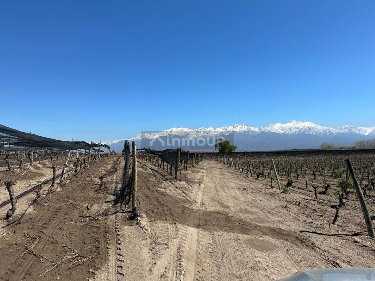 Finca en Venta en Tunuyan, Mendoza
