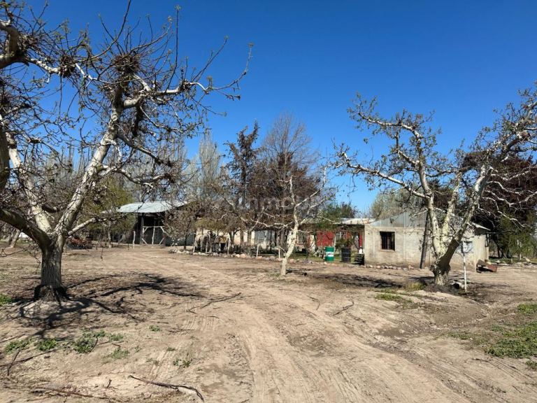 Finca en Venta en Tunuyan, Mendoza