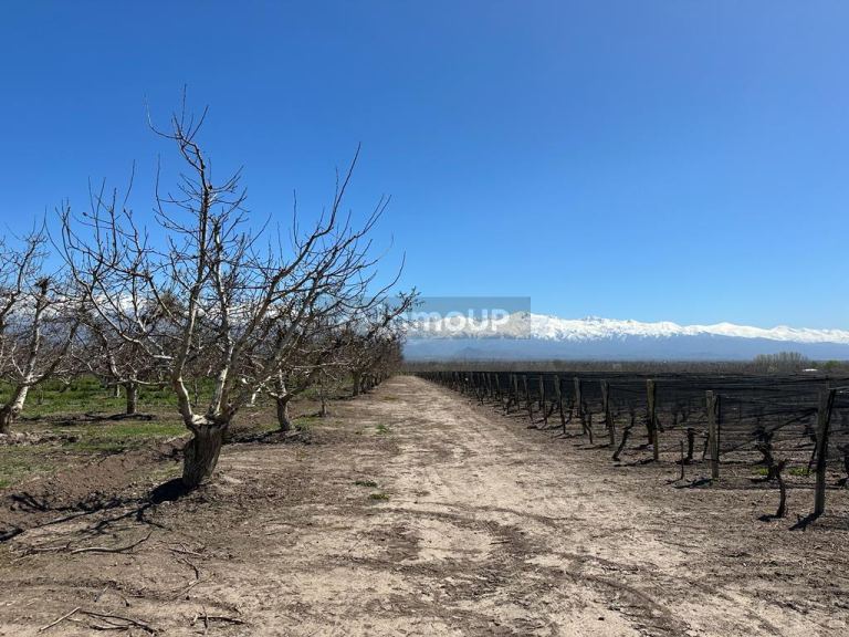 Finca en Venta en Tunuyan, Mendoza
